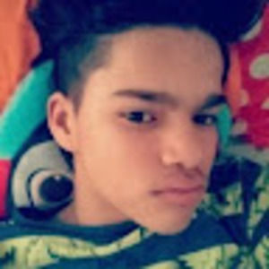 Meet your Posher, Mini